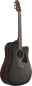 Preview: IBANEZ Advanced Acoustic Akustikgitarre Trans. Char. Black