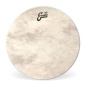 Preview: Evans 20" Calftone Bass