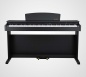 Preview: Artesia Digital Piano DP-2