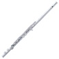 Preview: Pearl PFA-201ES Altquerflöte geraden+gebogenem Kopf