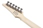 Preview: IBANEZ RG E-Gitarre 6-String - Blue Moon Burst