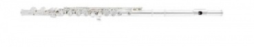 Arnolds & Sons Querfllöte AFL-210E