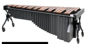 Adams Artist Marimba MAHV50 R. van Sice 5 Okt.