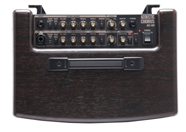Roland Acoustic Verstärker Rosewood-Vollholz-Optik