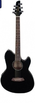 ACOUSTIC-ELECTR. GUITAR IBANEZ