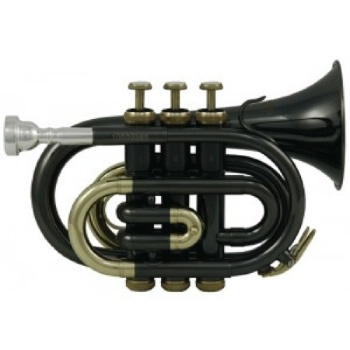 Roy Benson Bb-Taschentrompete PT-101K Schwarz