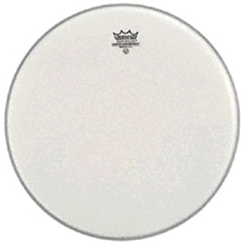 Remo Ambassador, weiß glatt, 14"