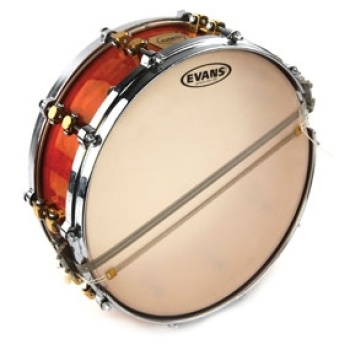 Evans 14" Orchestral 300 Snare Side