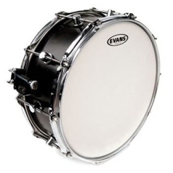 Evans Genera Dry, 13"
