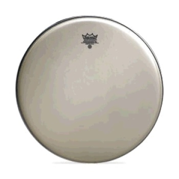 Remo Diplomat Renaissance 14"