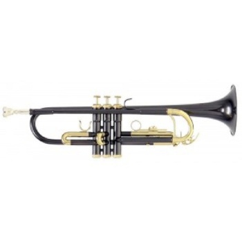Roy Benson Trompete TR-101 Anthr lackiert incl.Rechtecketu