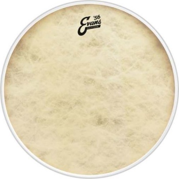 Evans 18" Calftone Bass