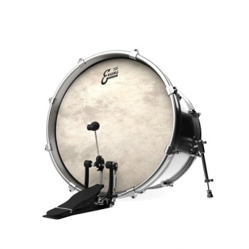 Evans EQ4 Calftone Bass 22"
