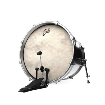 Evans EQ4 Calftone Bass 24"