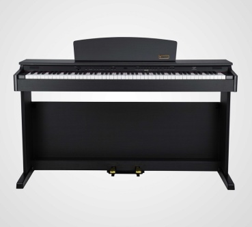 Preview: Artesia Digital Piano DP-2