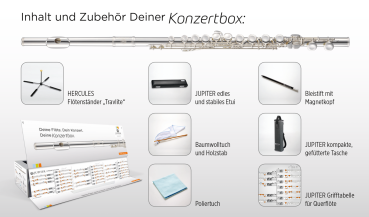 JUPITER Querflöte JFL700EC-CBOX E-Mechanik, Vollsilberkamin