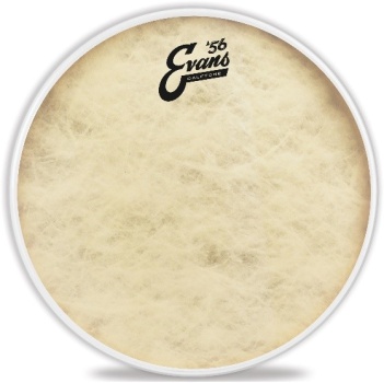 Evans Calftone ´56 Tom Fell 16"
