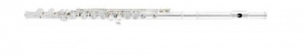 Arnolds & Sons Querfllöte AFL-210E