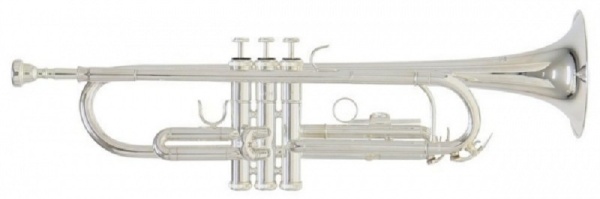 Roy Benson TR-202S Bb-Trompete versilbert