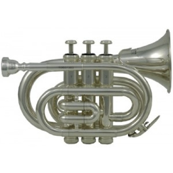 Roy Benson Bb-Taschentrompete PT-101Silber