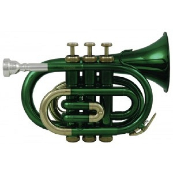 Roy Benson Bb-Taschentrompete PT-101E Grün