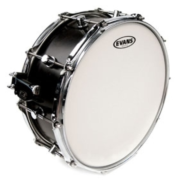 Evans Genera Dry, 13"