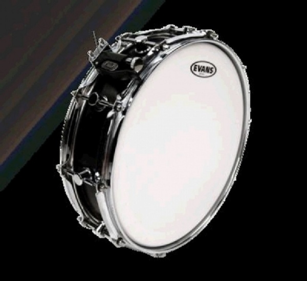 Evans Genera, 14"