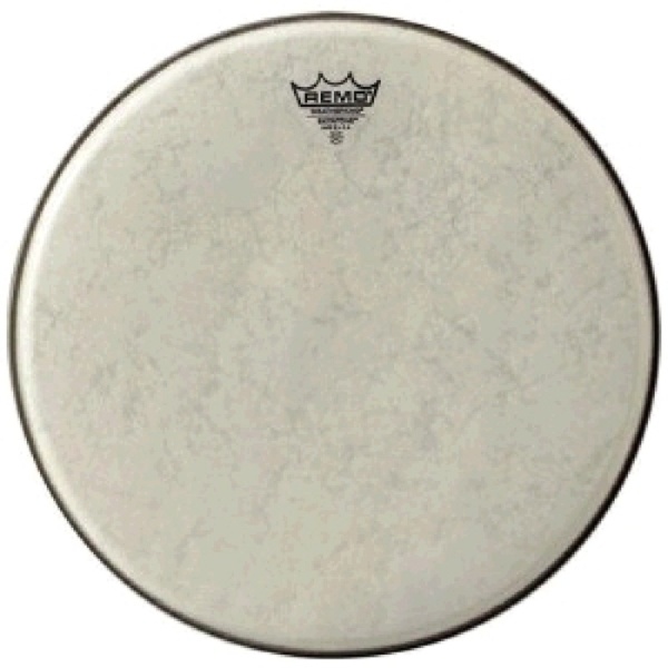 Remo Skyntone 14"
