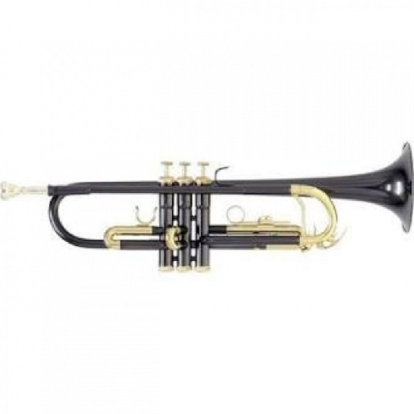 Roy Benson Bb-Trompete TR-101K Schwarz