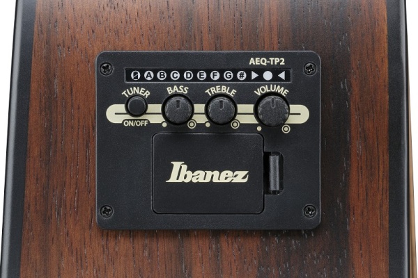 IBANEZ Advanced Acoustic Akustikgitarre Trans. Char. Black