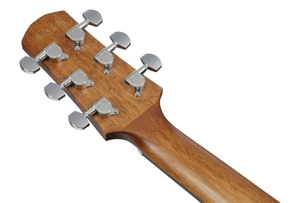 IBANEZ Advanced Acoustic Akustikgitarre Trans. Char. Black