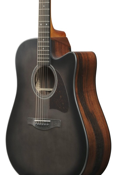 IBANEZ Advanced Acoustic Akustikgitarre Trans. Char. Black