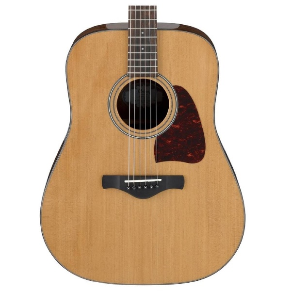 Ibanez Acoustic Guitar 6 String Neutral