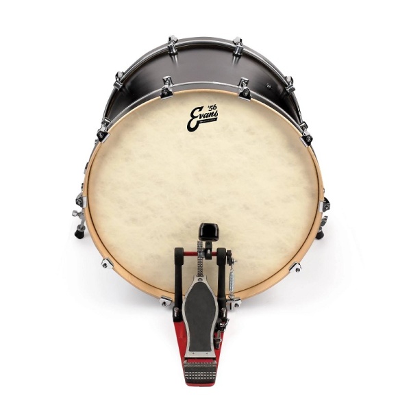 Evans 20" Calftone Bass