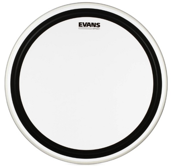 Evans EMAD Clear 22"