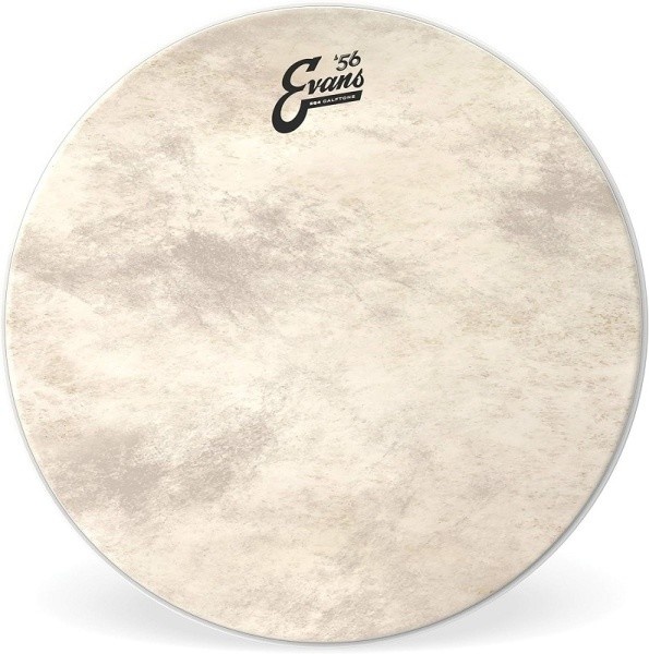 Evans EQ4 Calftone Bass 22"