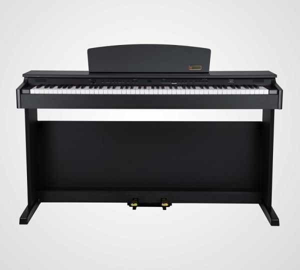 Artesia Digital Piano DP-2