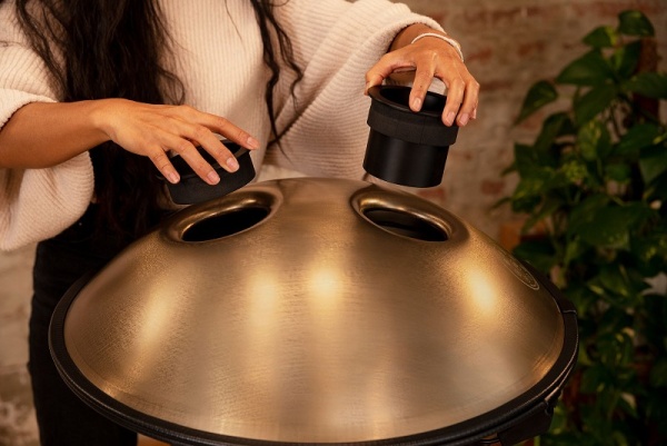MEINL Sonic Energy Sensory Handpan D Kurd A Bb C D E F G A C