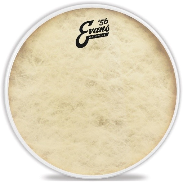 Evans Calftone ´56 Tom Fell 8"