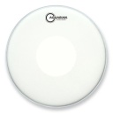 AQUARIAN Snare Fell, Texture Coated, Powerdot, 14"