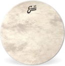 Evans EQ4 Calftone Bass 22"