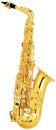 Concord Alt-Saxophon, Student Line