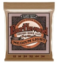 Ernie Ball 12-54 Earthwood Phosphor Bronze Regular Slinky